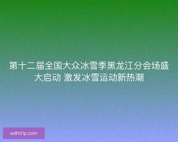 第十二届全国大众冰雪季黑龙江分会场盛大启动 激发冰雪运动新热潮